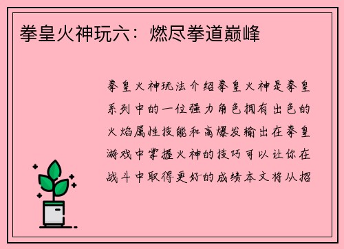拳皇火神玩六：燃尽拳道巅峰